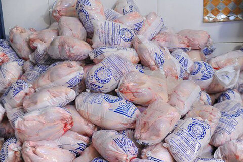 فروش مرغ منجمد بیشتر از کیلویی ۲۰ هزار تومان ممنوع