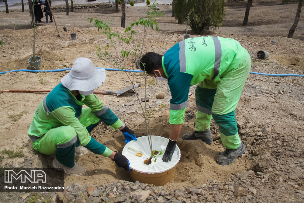 کاشت ۲۰۰ اصله درخت کم نیاز آبی با فناوری گراوسیس در کوه نخودی
