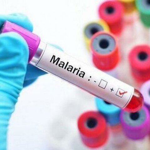 ایران بزرگ‌ترین کشور منطقه در حذف مالاریا