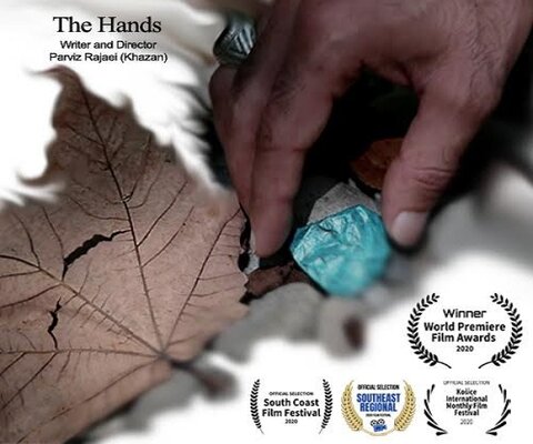 "دست‌ها" از آمریکا جایزه گرفت