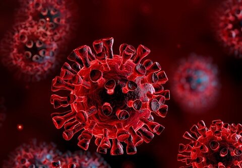 سکته مغزی ناشی از ویروس کرونا ۸ برابر آنفلوانزا است