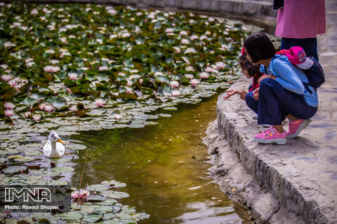 باغ گلهای اصفهان