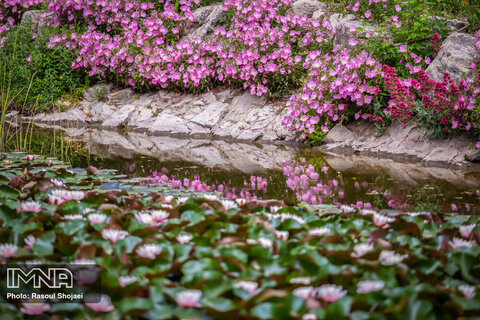 باغ گلهای اصفهان