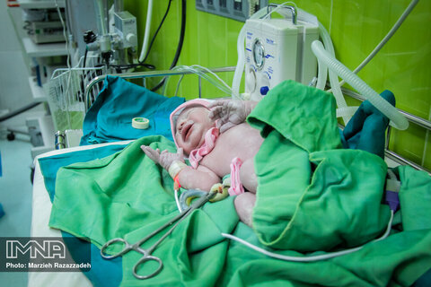 Iran's National Population day
