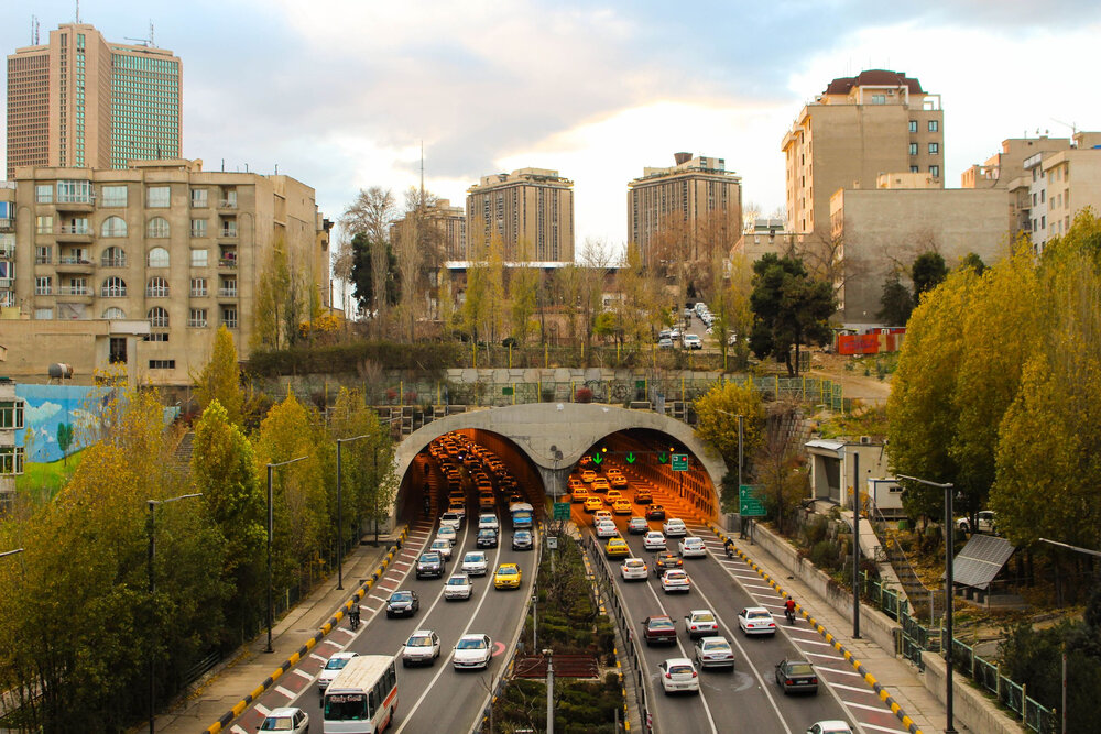 تهران با اتکا به گیاهان بومی سرسبز می‌ماند