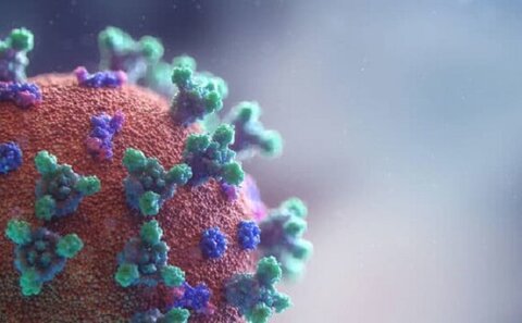 کشف "نانواسفنج‌هایی" در بدن برای کشتن کرونا ویروس‌ها