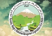 سازمان منابع طبیعی نهادی حاکمیتی است