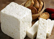 آیا پنیر راهی ساده برای درمان میگرن است؟