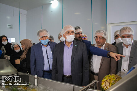 بهره برداری از نخستین واحد تولیدی چیپس میوه و سبزیجات خشک اصفهان