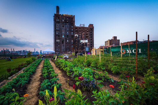 پیشرفت کشاورزی شهری و احیای محله‌ها