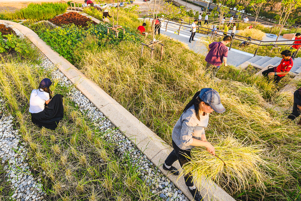 تدابیری برای ایجاد شهرهای سالمتر و پایدارتر