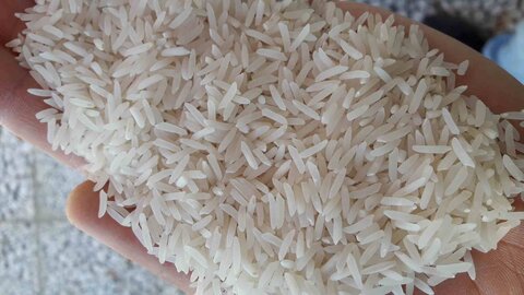 امسال ۵۸۰ هزار تن برنج به ارزش ۵۳۳ میلیون دلار ترخیص شده است