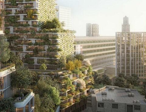 جنگل شهری ضامن بقای شهرهای آینده