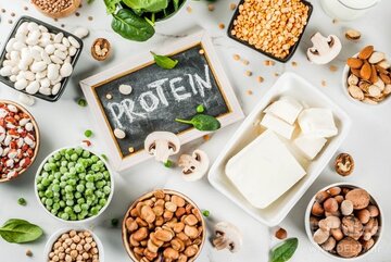 منابع گیاهی سرشار از پروتئین + خواص و فواید آن برای بدن