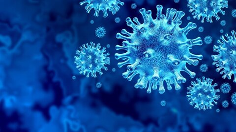 مسری‌ترین نوع ویروس کرونا کشف شد