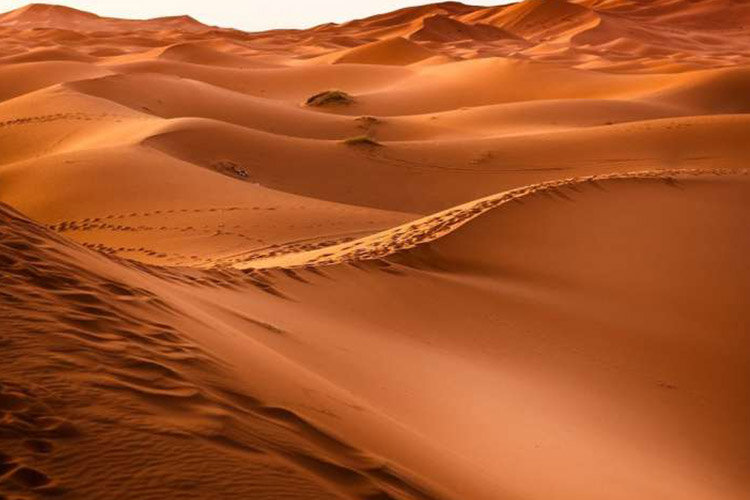 گرد و غبار صحرایی علائم آلرژی را بدتر می‌کند