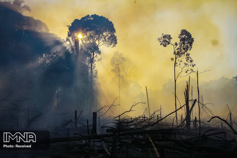 آتش سوزی در نزدیکی ایالت آمازون، برزیل. ماه اوت به طور سنتی آغاز فصل آتش سوزی در این منطقه است
