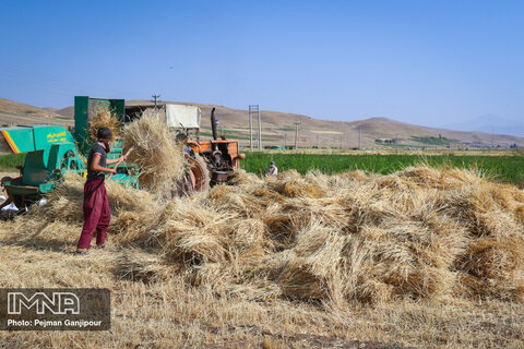 پیش بینی ۳,۲۰۰ میلیارد تومان اعتبار برای کشاورزی استان اصفهان