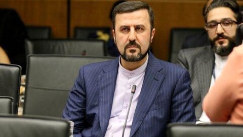غریب آبادی سفر مدیرکل آژانس انرژی اتمی به ایران را تایید کرد