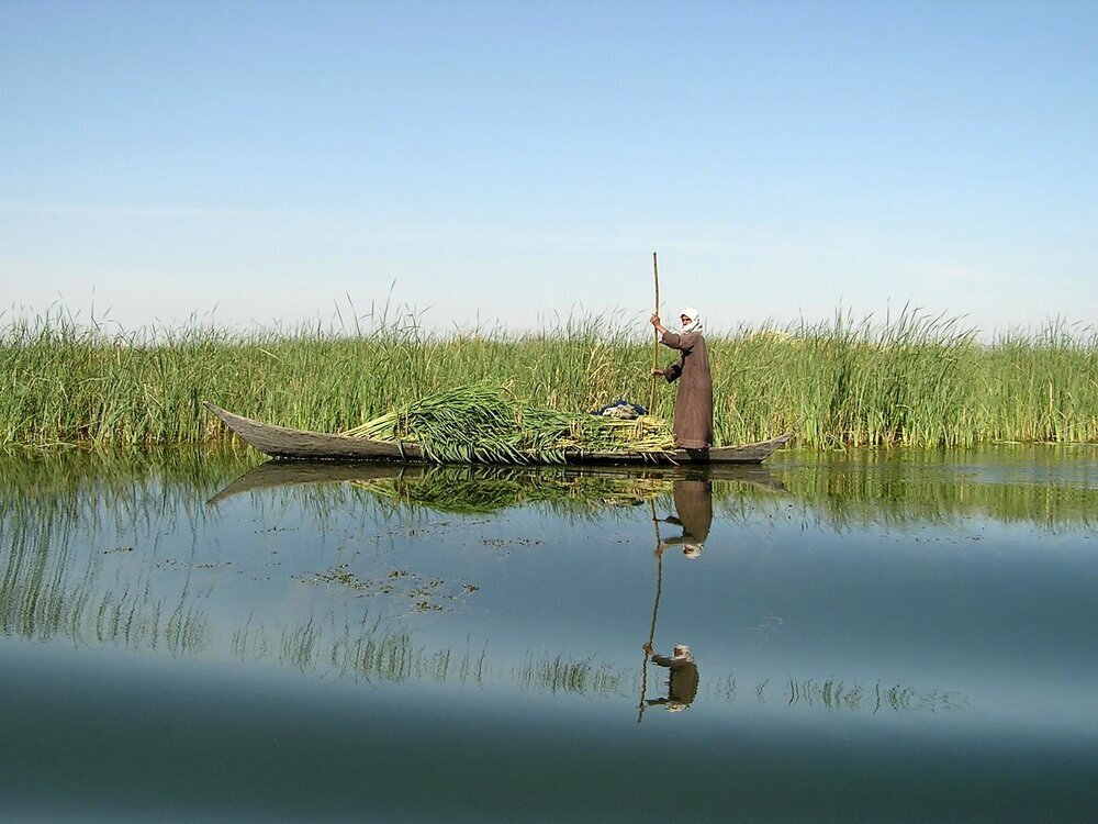 Hamoun wetlands revival project started