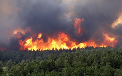 آتش‌سوزی در کوه‌های بخش ارم دشتستان