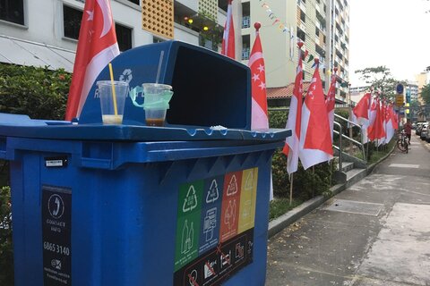 ارائه تسهیلات؛ ضرورت سنگاپور برای بازیافت
