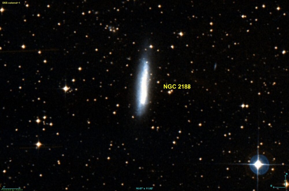 شگفتی‌های کهکشان NGC 2188