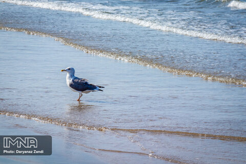 سیری در مسقط، پایتخت عمان