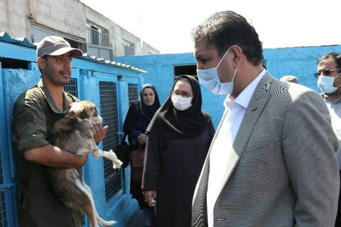 کمپ پناه، پناهگاهی برای حیوانات شهری یزد