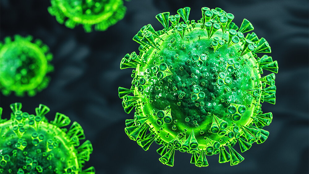ویروس کرونا به سلول‌های چربی حمله می‌کند