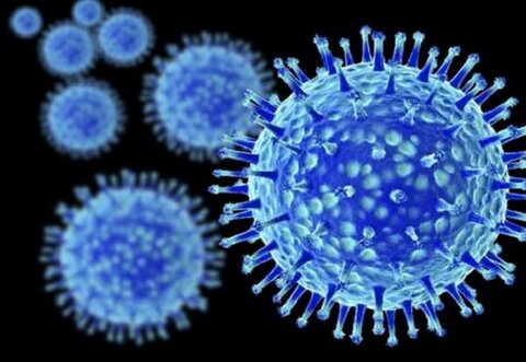 تاکنون ۷۴۵ نفر به ویروس آنفلوانزا مبتلا شدند