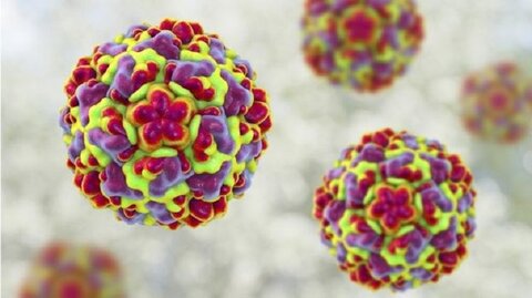 شناسایی یک ویروس عفونی در حال ظهور در ژاپن