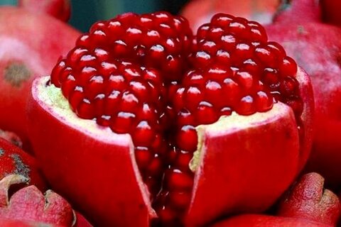 انار میوه‌ای شیرین سرشار از آنتی اکسیدان/سه گانه‌ای مفید برای دیابتی‌ها