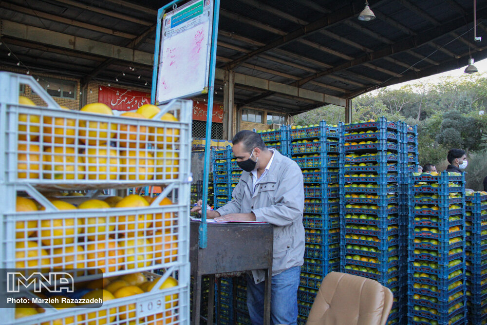بازار میوه و تره‌بار در مسکن مهر گلپایگان راه‌اندازی می‌شود