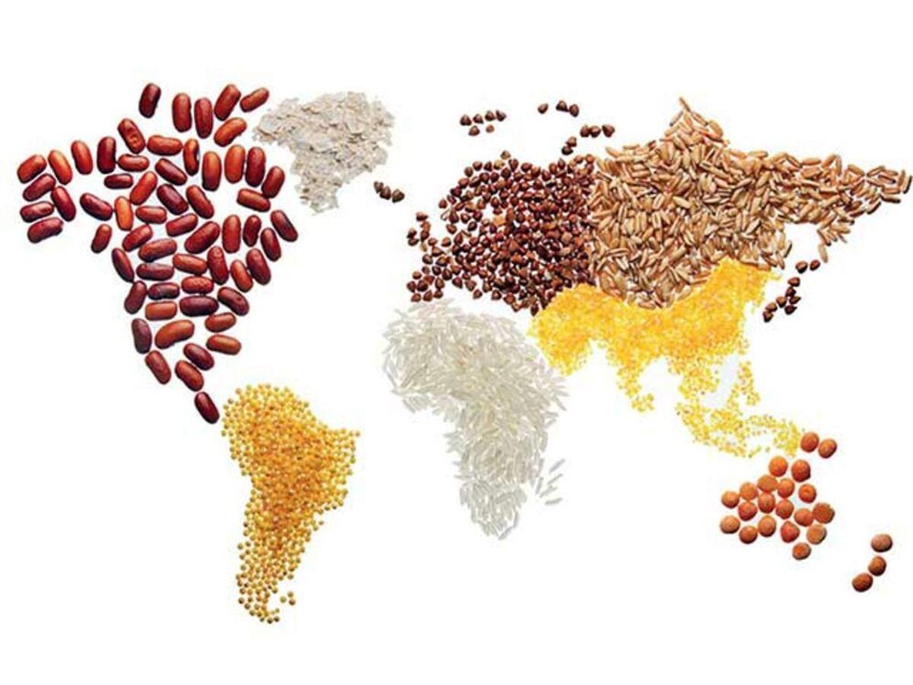 کرونا تهدیدی برای امنیت غذایی جهان