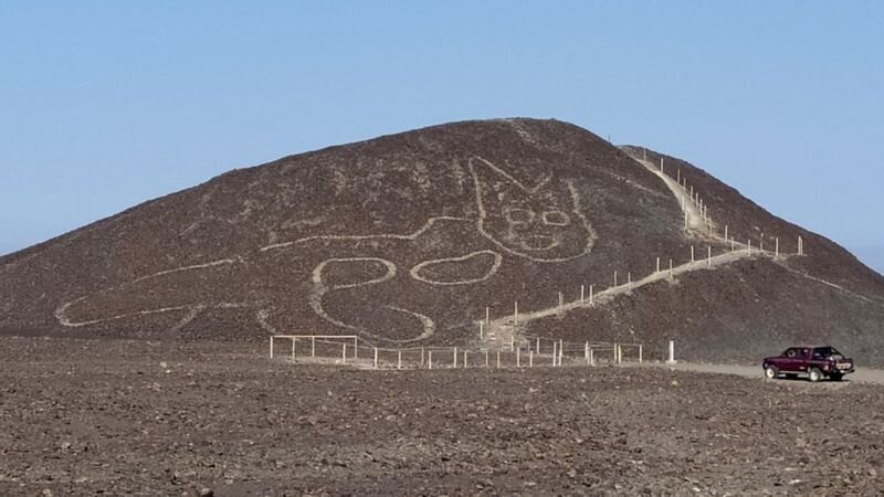 کشف تصویر یک گربه ۲۰۰۰ساله در خطوط نازکا در پرو