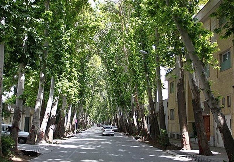ایجاد «مرکز محله» در حسین‌آباد اصفهان