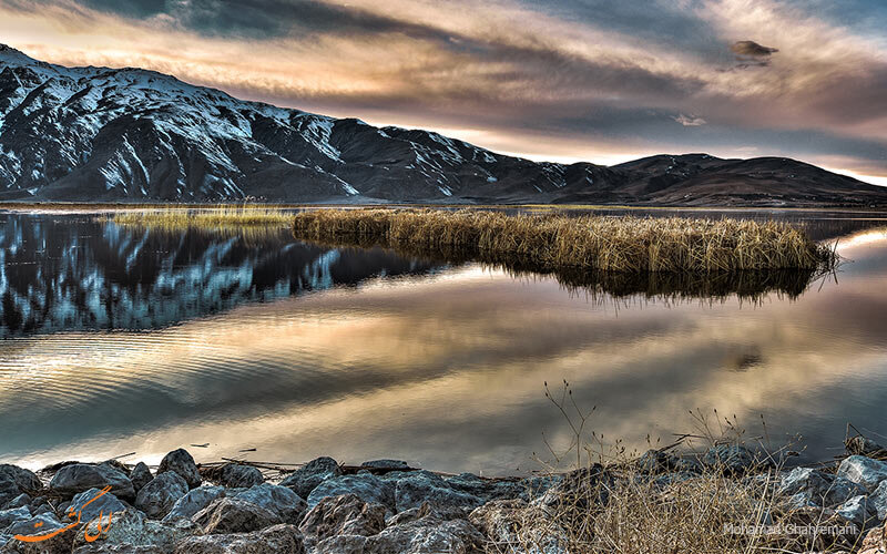 Iran's best bird watching spot