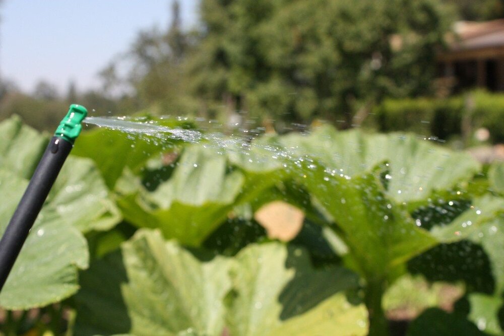Isfahan use wastewater to irrigate urban green spaces