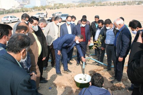 ۵۰ هکتار دیم‌کاری در کمربند شرق اصفهان