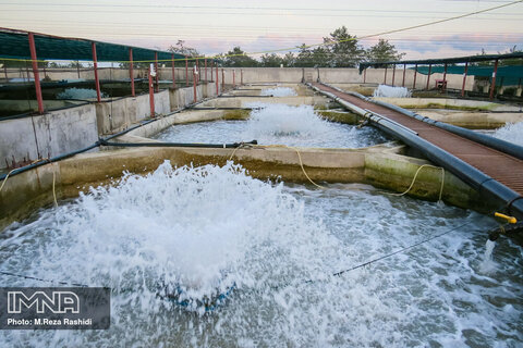 برگزاری طرح مطالعاتی امکان‌سنجی توسعه شیلات در استان اردبیل