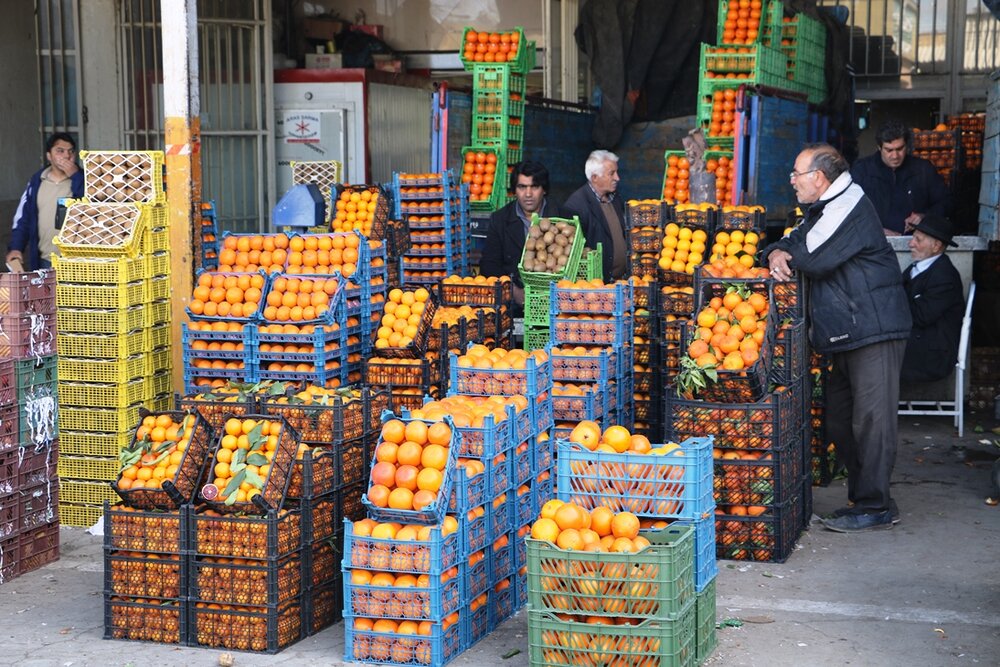 ایجاد ۶۰ میدان میوه و تره‌بار در تهران تا پایان سال
