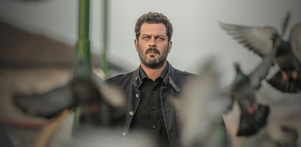 همه چیز درباره سریال " افرا "