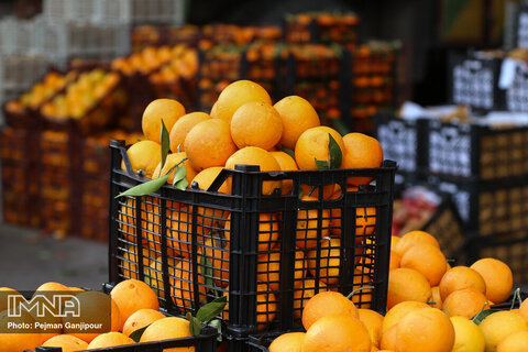 قیمت میوه و تره‌بار در بازارهای کوثر امروز ۱۲ مرداد+ جدول