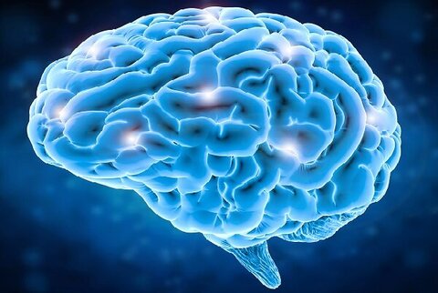 بهبود عملکرد مغز با ایمپلنت‌های شارژی