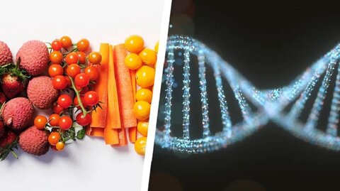 رژیم غذایی مطابق با DNA چیست و چه معایبی دارد؟ 