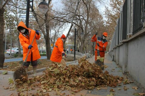 جمع آوری بیش از ۵۰۰ تن برگ پاییزی در مشهد