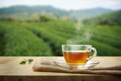 ترکیبات ناشناخته خطرناک در چای کشف شد!