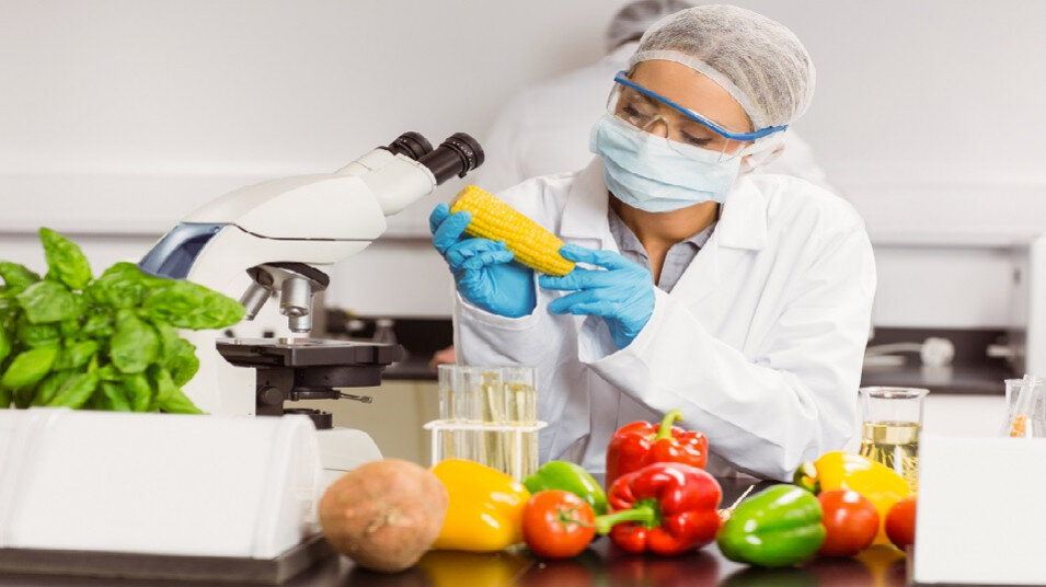 افزایش کیفیت مواد غذایی به کمک فناوری نانو