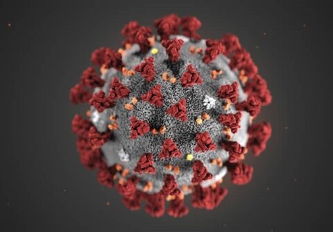 دانشمندان به دنبال بررسی منشاء ویروس کرونا